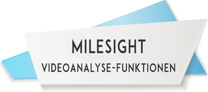Milesight Videoanalyse