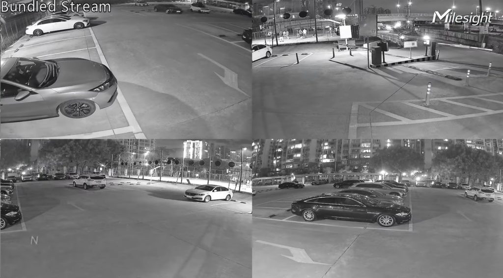 MS-C5321-FPE Nachtsicht